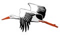 White stork graphic