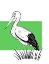 The White Stork, hand drawn vector illustration Royalty Free Stock Photo