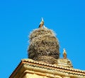 stork in the nest in a church Royalty Free Stock Photo