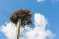 White stork nest on an electric pole Royalty Free Stock Photo