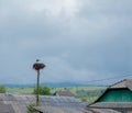 White stork nest on electricity pole in small village Royalty Free Stock Photo