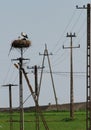 White stork nesting on industry Royalty Free Stock Photo