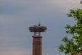 A white stork sits on a nest on a chimney and has a young next to it. In the background is a dramatic sky Royalty Free Stock Photo