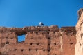 White stork sitting on the wall of El Badi Palace, Marrakech, Morocco Royalty Free Stock Photo