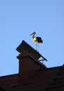 White stork standing on the chimney Royalty Free Stock Photo