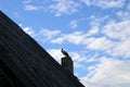 White stork standing in the house chimney in daytime Royalty Free Stock Photo