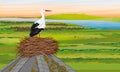 A white stork stands in a nest on the roof of an old building. Green meadow with river and flowering plants