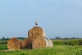 White stork and straw bale