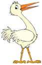 White stork (vector clip-art) Royalty Free Stock Photo