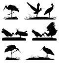 White Storks on the nest silhouette set