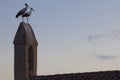 White storks perched over bell wall rural parish