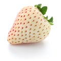 White strawberry