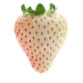 White strawberry Royalty Free Stock Photo