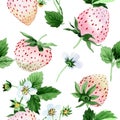 White strawberry fruit in a watercolor style. Seamless background pattern.