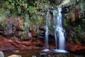 White stream of water flows over a wet, overgrown stone face Royalty Free Stock Photo