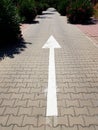 White street arrow pointing to direction of traffic