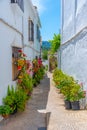 White street in the Zuheros village in Spain. Royalty Free Stock Photo