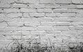 White stucco brick wall with border of painted grass. Background for text
