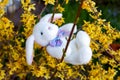 White stuffed bunny hanging on a branch of yellow flowers