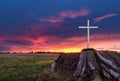 White Stump Cross Royalty Free Stock Photo