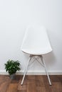 White stylish designer chair and green home plant near the wall Royalty Free Stock Photo