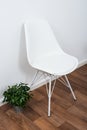 White stylish designer chair and green home plant near the wall Royalty Free Stock Photo