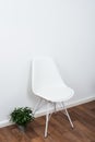 White stylish designer chair and green home plant near the wall Royalty Free Stock Photo