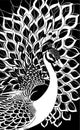 white stylized contour drawing of a peacock on a black background