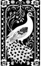 white stylized contour drawing of a peacock on a black background