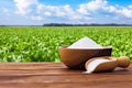 white sugar in bowl and scoop on table with green field