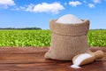 white sugar in burlap sack and scoop on table with green field