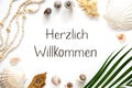 Summer Flat Lay White, Shells and Plants, Summer Background, Text Herzlich Willkommen