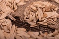 White sunflower seeds scattered on the background of coarse burlap, close-up selective focus Royalty Free Stock Photo