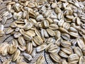 White sunflower seeds. For texture or background . organic sunflower seed for background uses Royalty Free Stock Photo