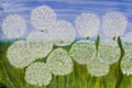 White sunflowers, painting