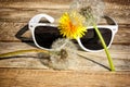 White sunglasses Royalty Free Stock Photo