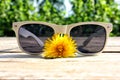 White sunglasses Royalty Free Stock Photo