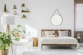 A white, sunlit hotel bedroom interior with monstera deliciosa p