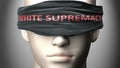 White supremacy can make us blind - pictured as word White supremacy on a blindfold to symbolize that it can cloud perception, 3d