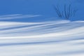 white surface of snow and shadows on it Royalty Free Stock Photo