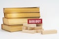 On a white surface, a stack of books and wooden blocks, on a red block there is an inscription - Biology