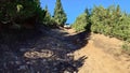 A white SUV goes down a dirt blurred forest road Royalty Free Stock Photo