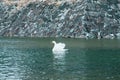 White Swam with Matsumoto Castle or Crow Castle, is one of Japanese premier historic castles in easthern Honshu. Landmark and