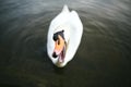 White Swan closeup Royalty Free Stock Photo