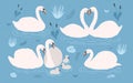 White swan collection on blue background. Singles and swan s pairs with chicks. Hand drawn colorful vector illustration Royalty Free Stock Photo