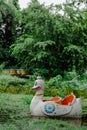 The white swan or duck pedal boat is moored in a lake in the park. Royalty Free Stock Photo