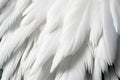 White Swan Feathers Background, Goose Plume Pattern, Generative Ai Illustration Royalty Free Stock Photo