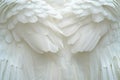 White Swan Feathers Background, Goose Plume Pattern, White Wings Feather Texture Royalty Free Stock Photo