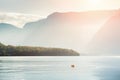 White swan floating on the Hallstatter lake, Austria Royalty Free Stock Photo