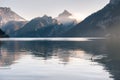 White swan floating on the lake at sunrise. Austrian Alps